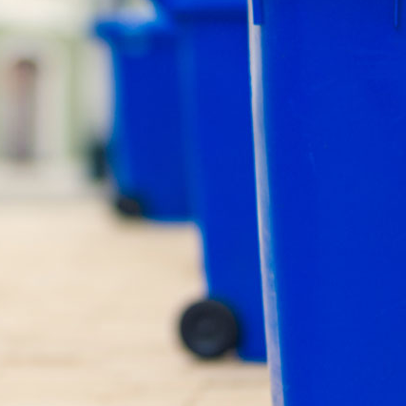 A selection of wheelie bins