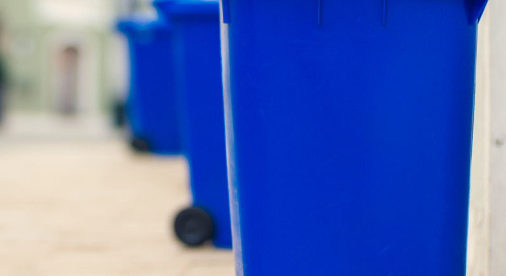 A selection of wheelie bins