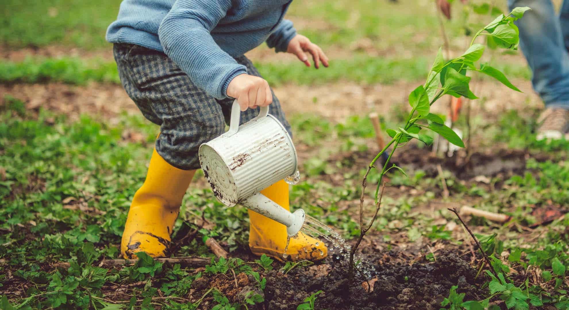Child using a watering can to save water in the garden 