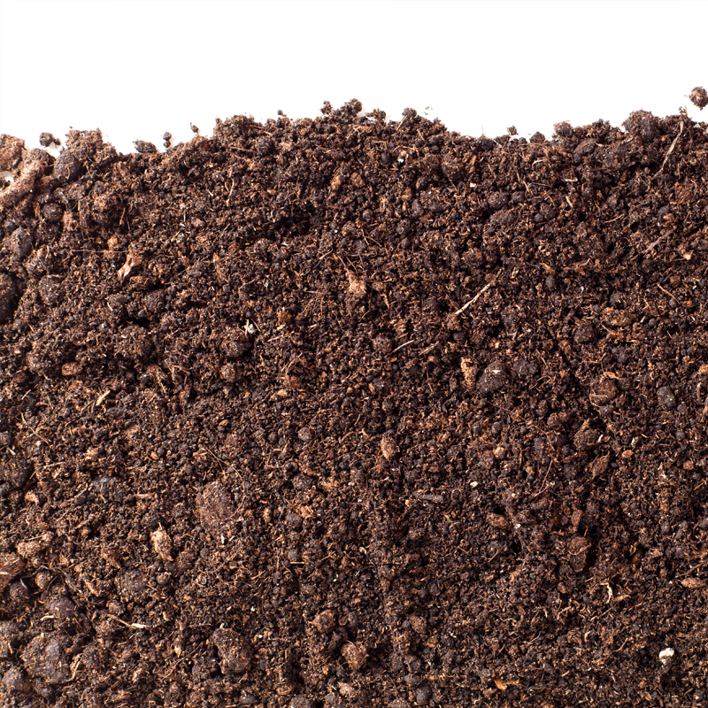 Compost on a white surface