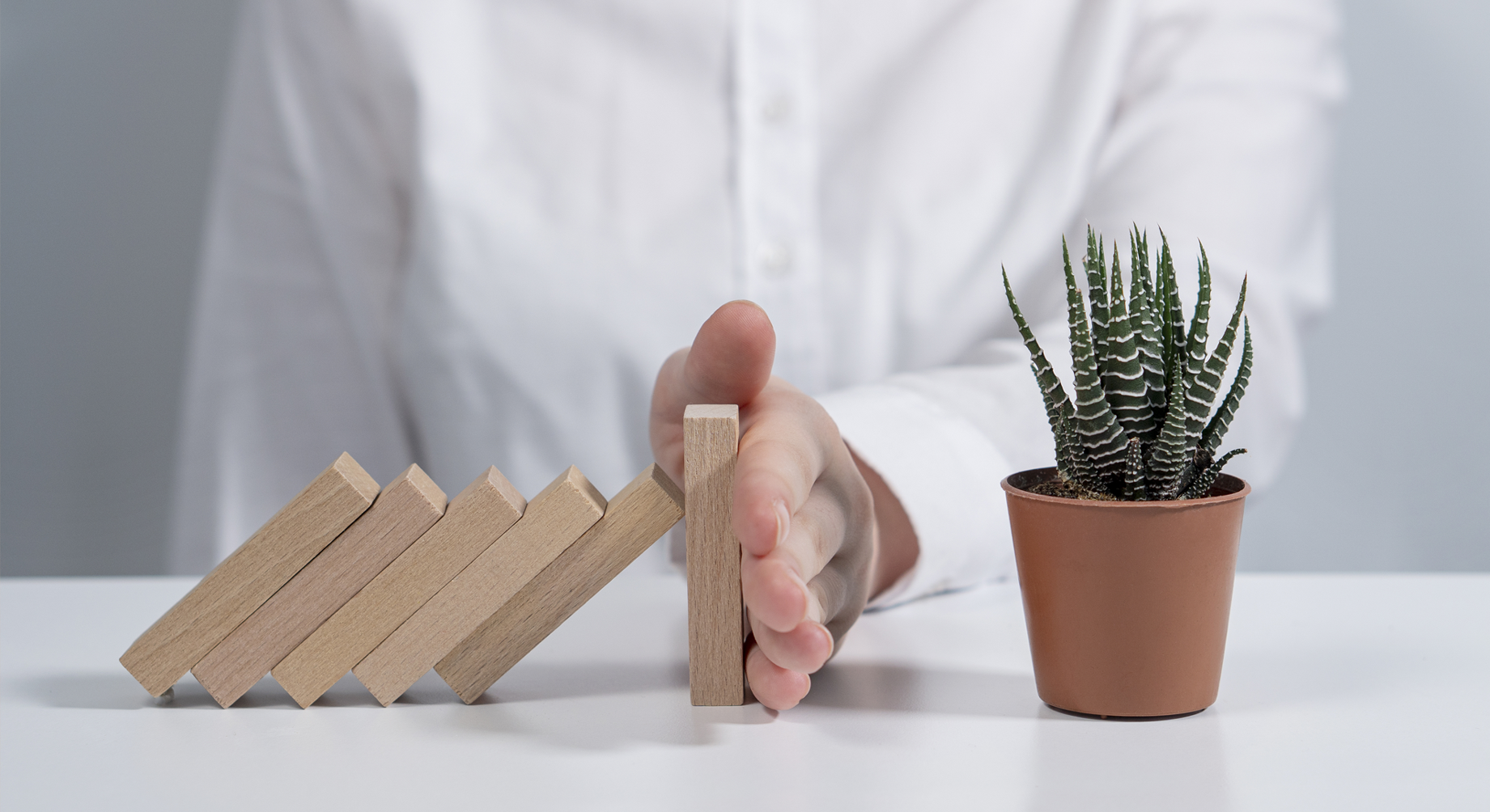A person using their hand to stop wooden dominoes from hitting a plant