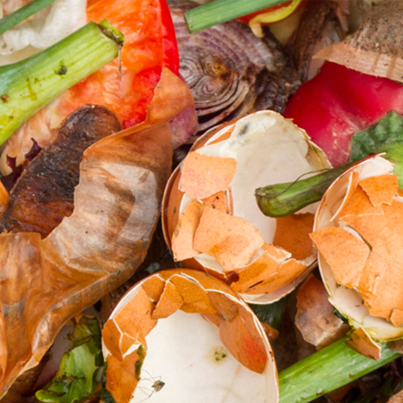 Food waste ready for recycling