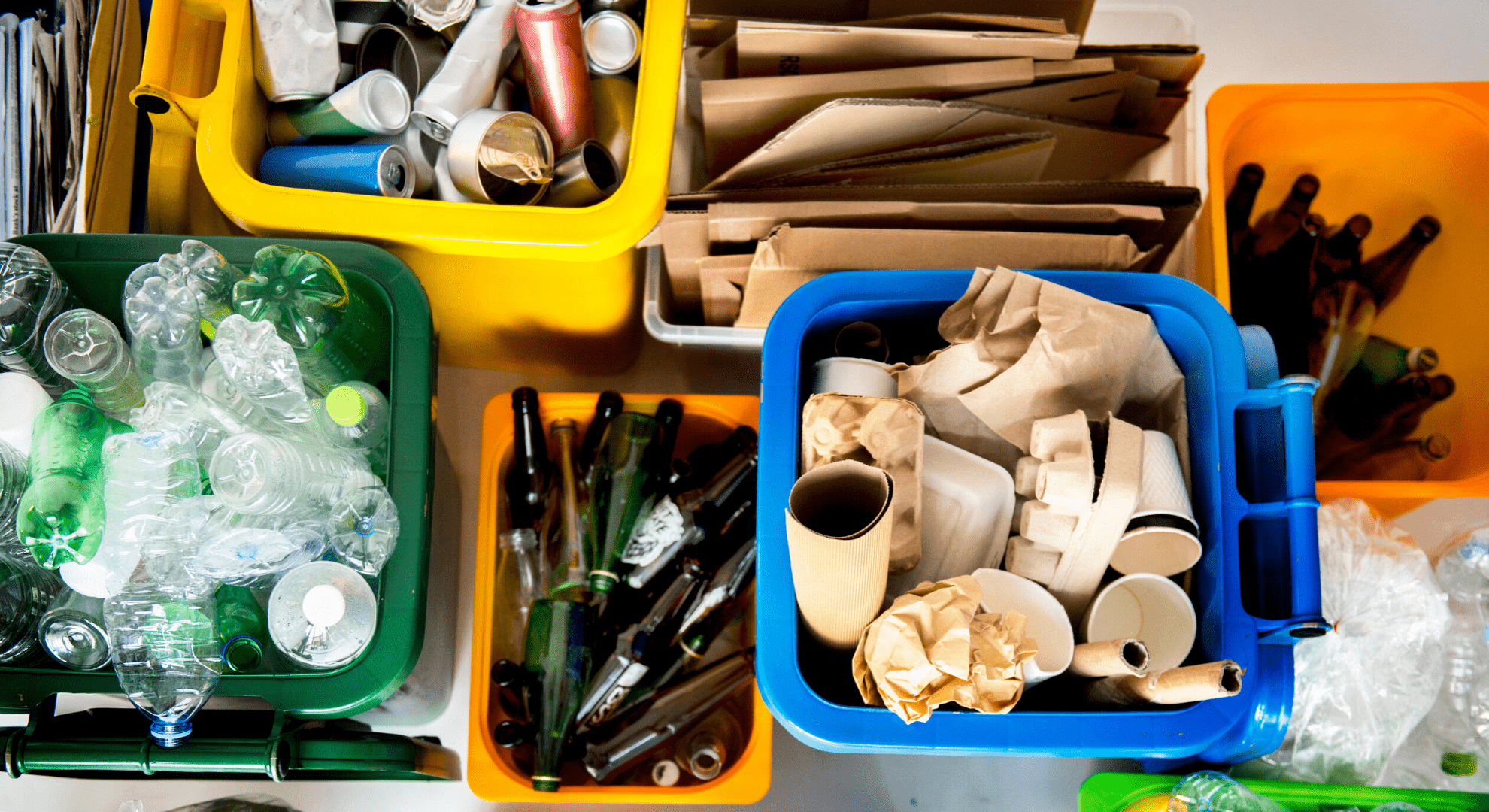 Household recycling segregated into different bins