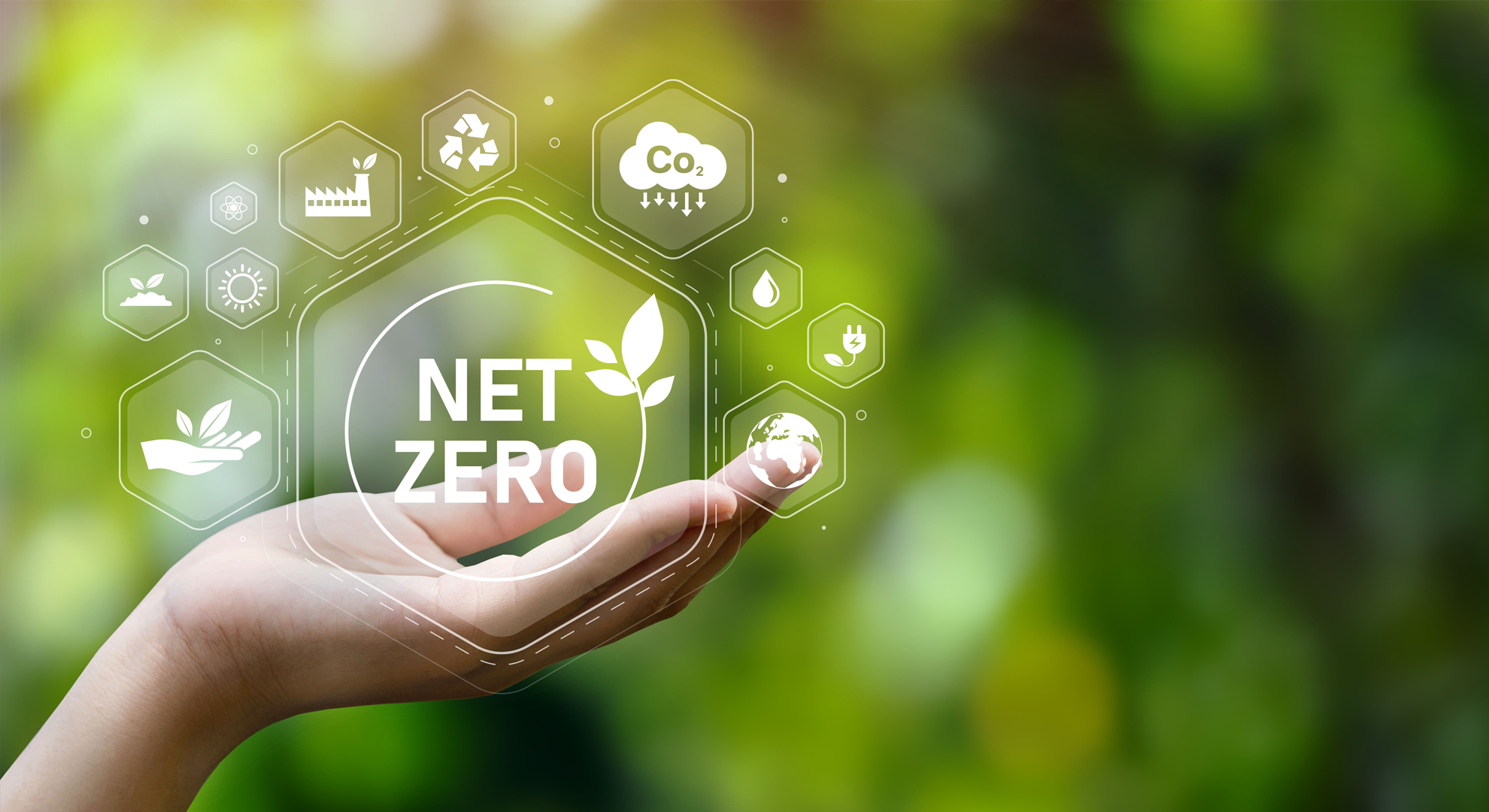An open hand with an illustration of environmental symbols within it, along with the words 'Net Zero'