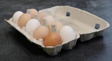 An open box of eggs on a grey counter