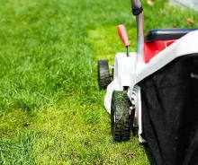 A patch of grass and a lawnmower