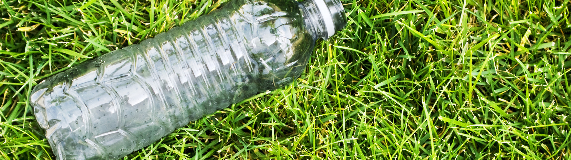 A plastic water bottle lying on grass