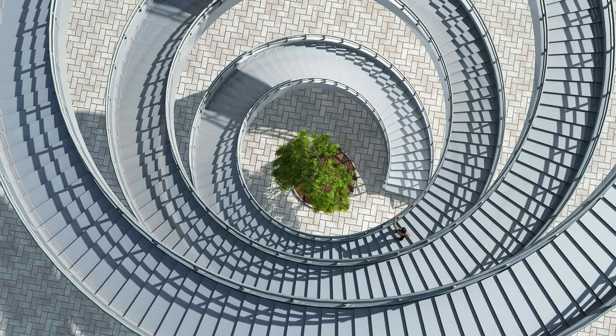 Photo looking down on a circular staircase with a tree in the middle