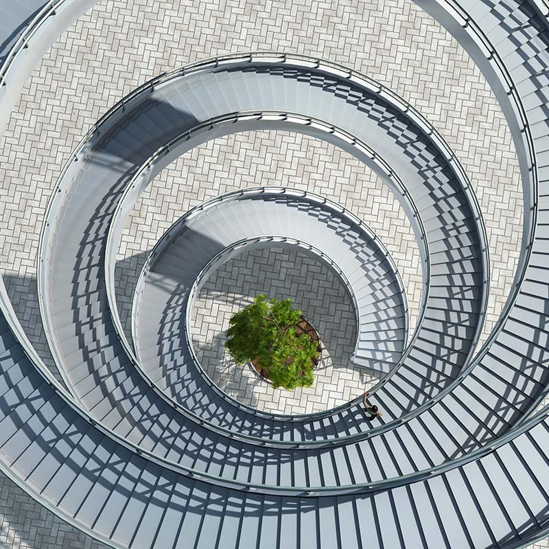 Photo looking down on a circular staircase with a tree in the middle