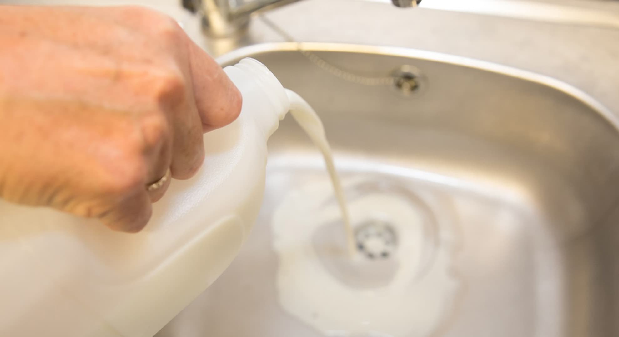 pouring milk down the drain