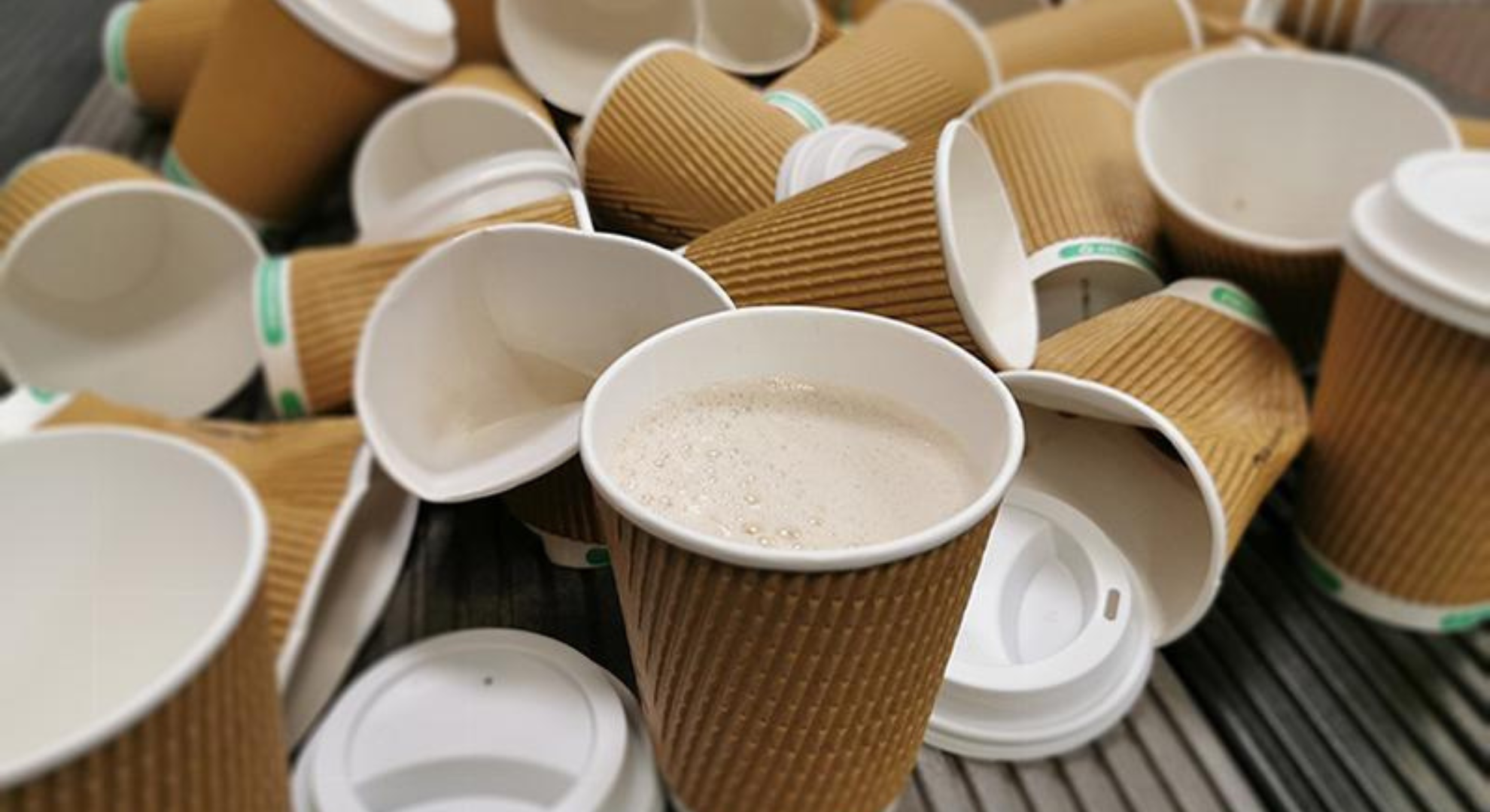 single-use coffee cup