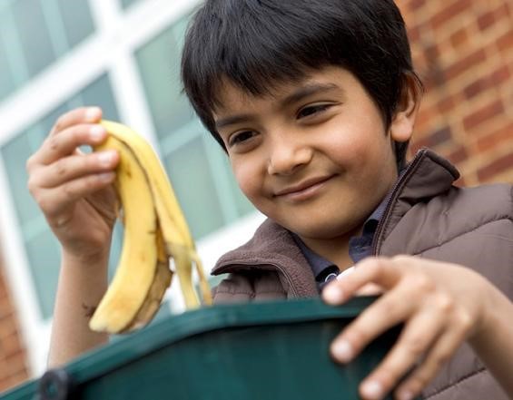 RfS Schools Resources – Food Waste Recycling
