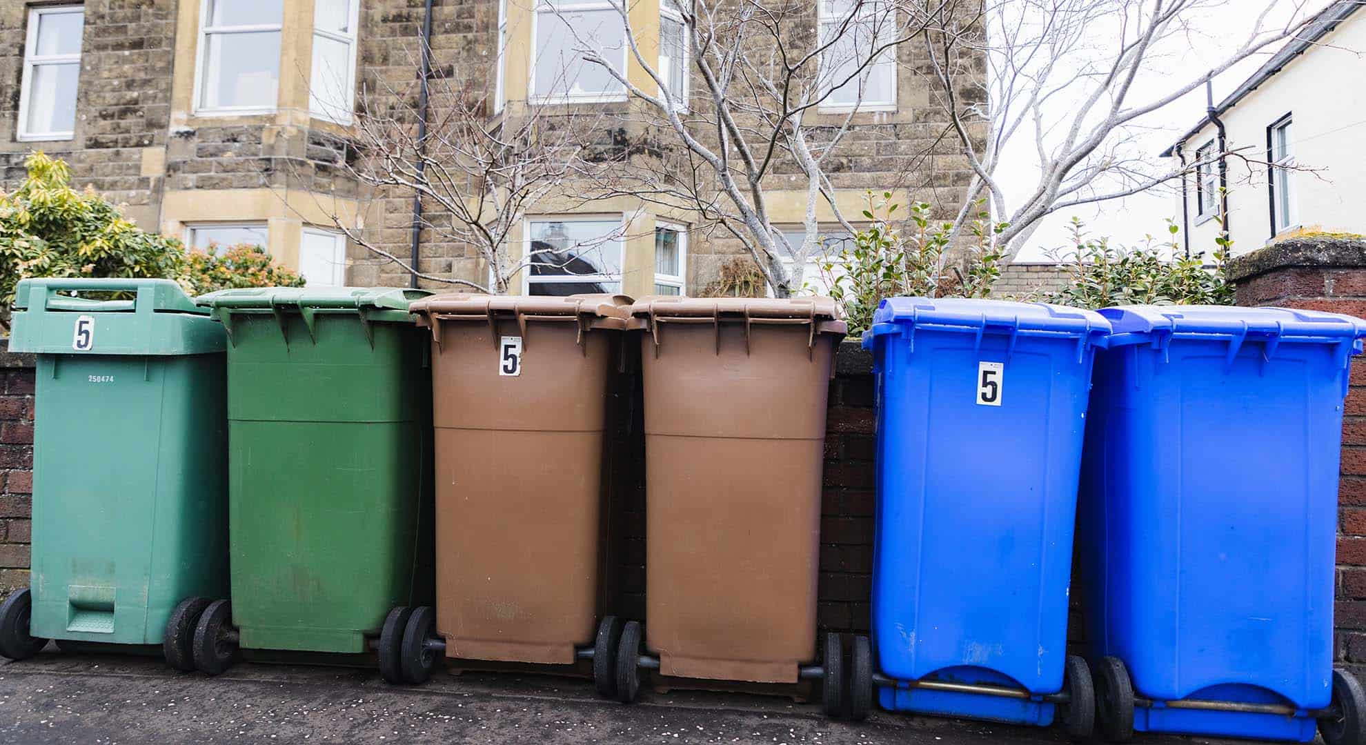 Photo of a line of coloured wheelie bins outside a property in South Ayrshire