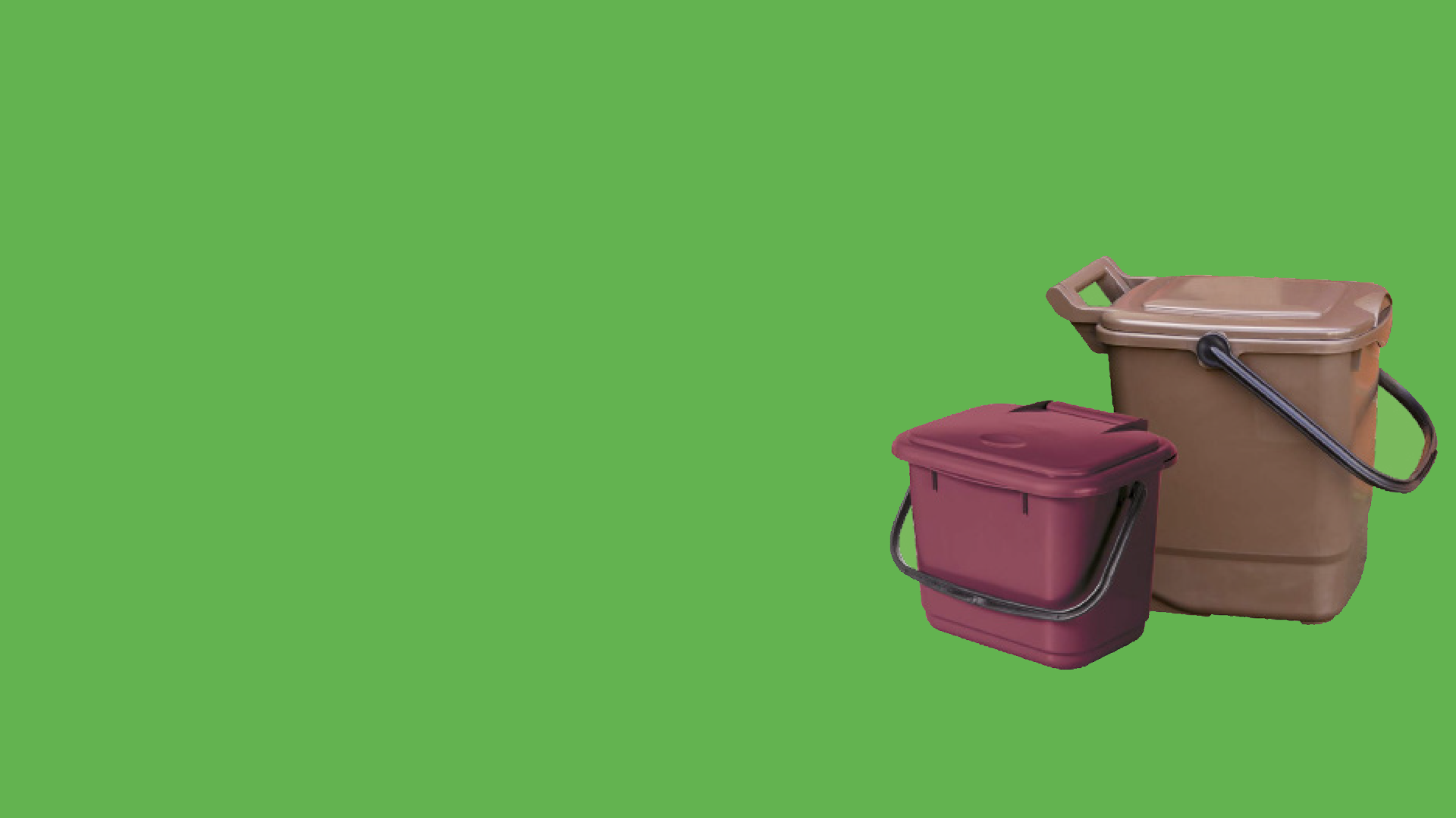 Green rectangle with the food waste caddies