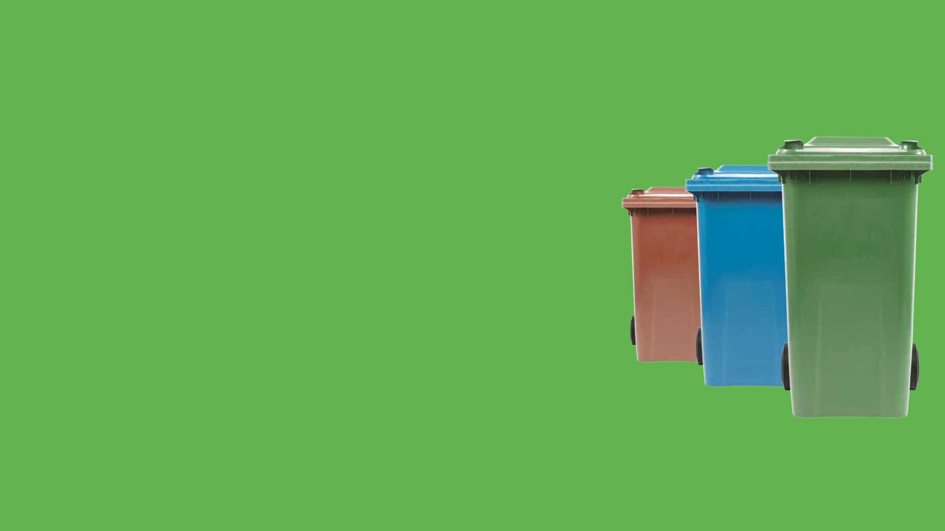 Green rectangle with the three different wheelie bins lined up.