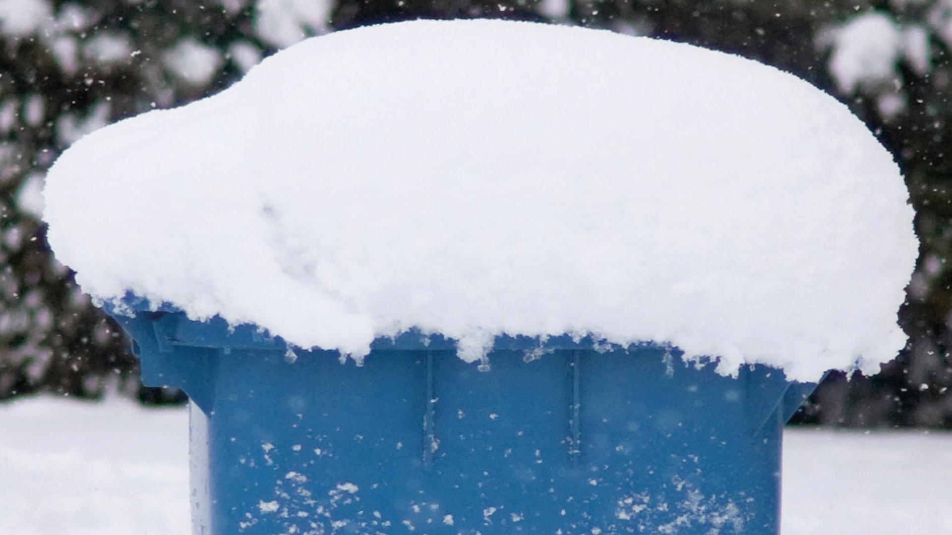 Wheelie bin topped with a heavy layer of snow