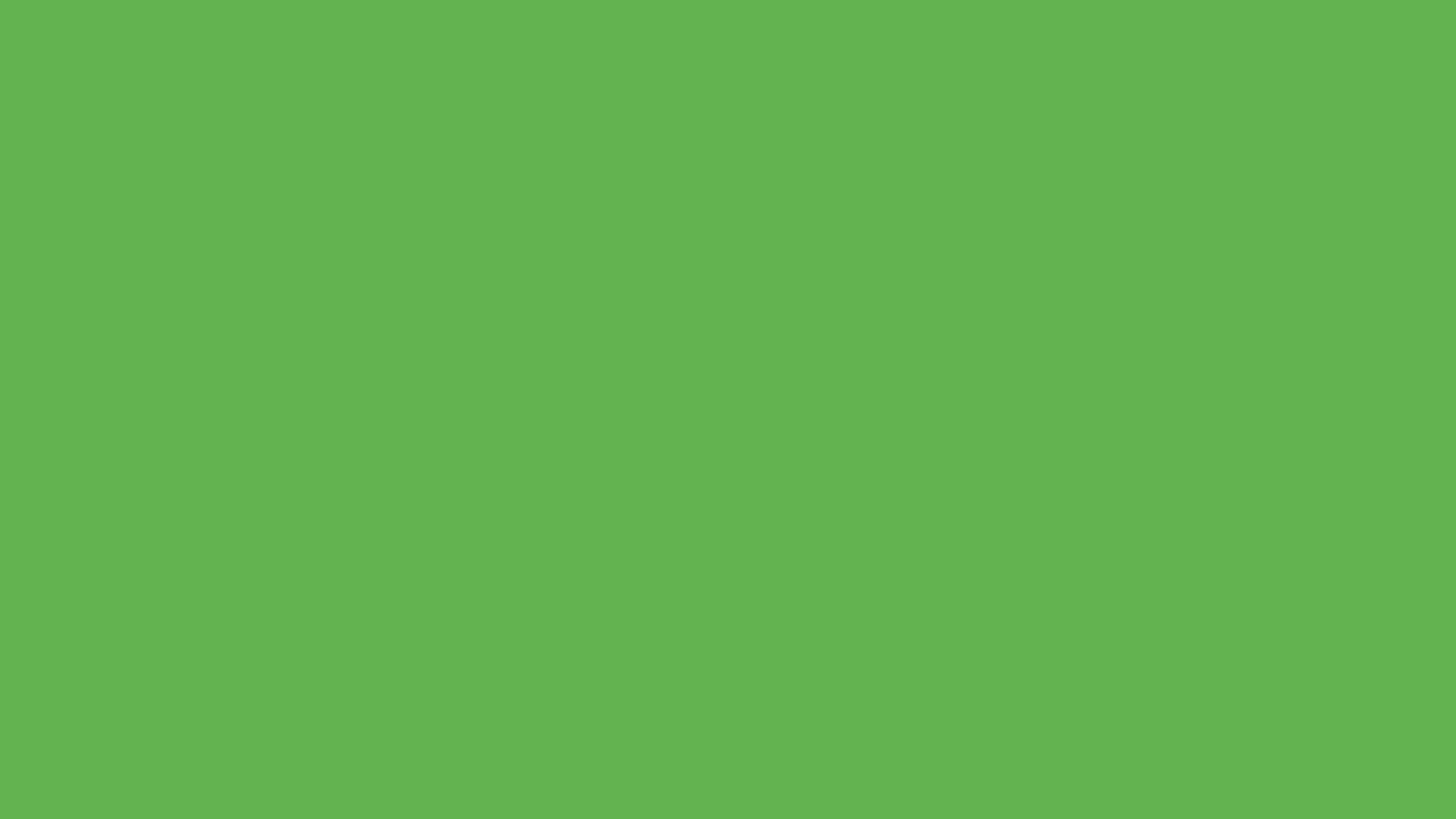 A green rectangle