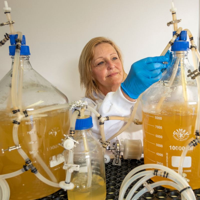 Woman working with filtration system