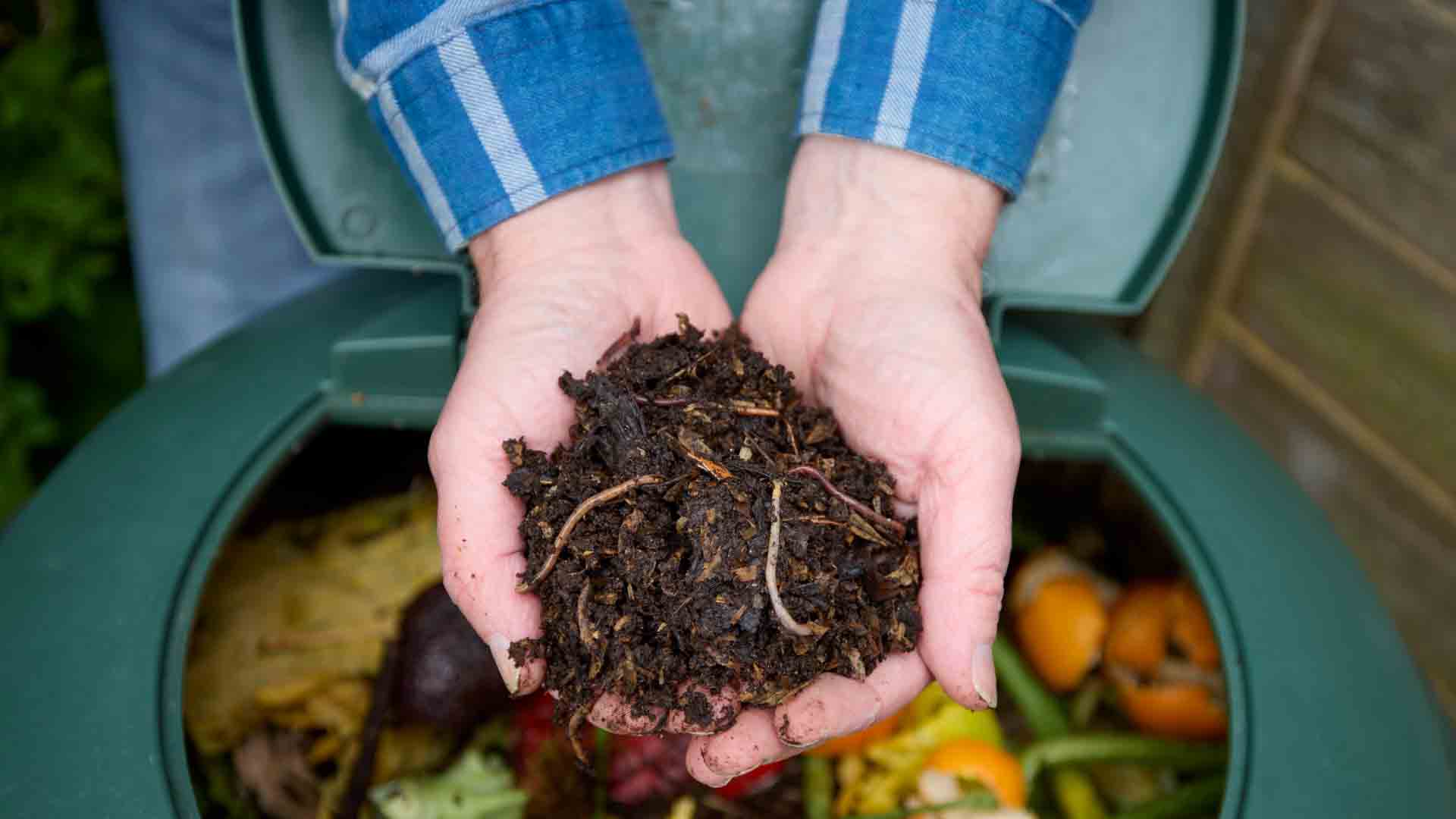 Photo of person with compost