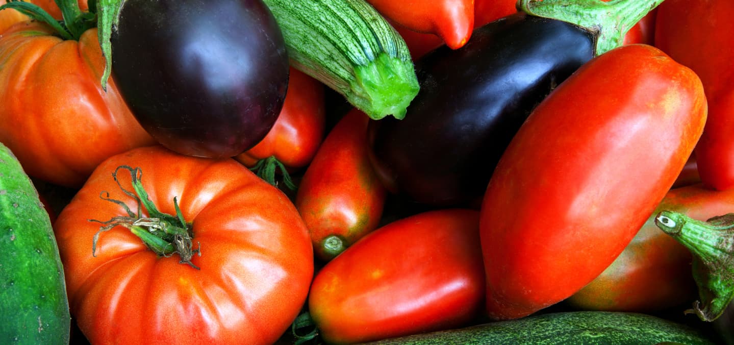 fresh vegetable 