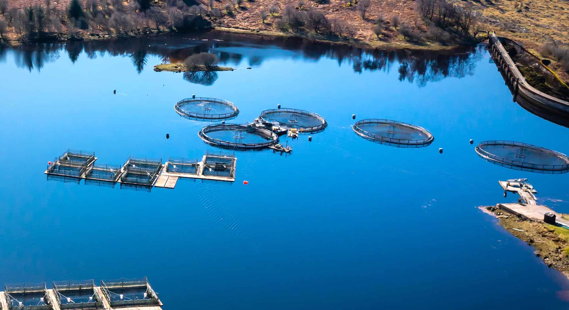 The view from a drone of a small fish farm on a Scottish loch on a calm bright spring morning in Dumfries and Galloway south west Scotland