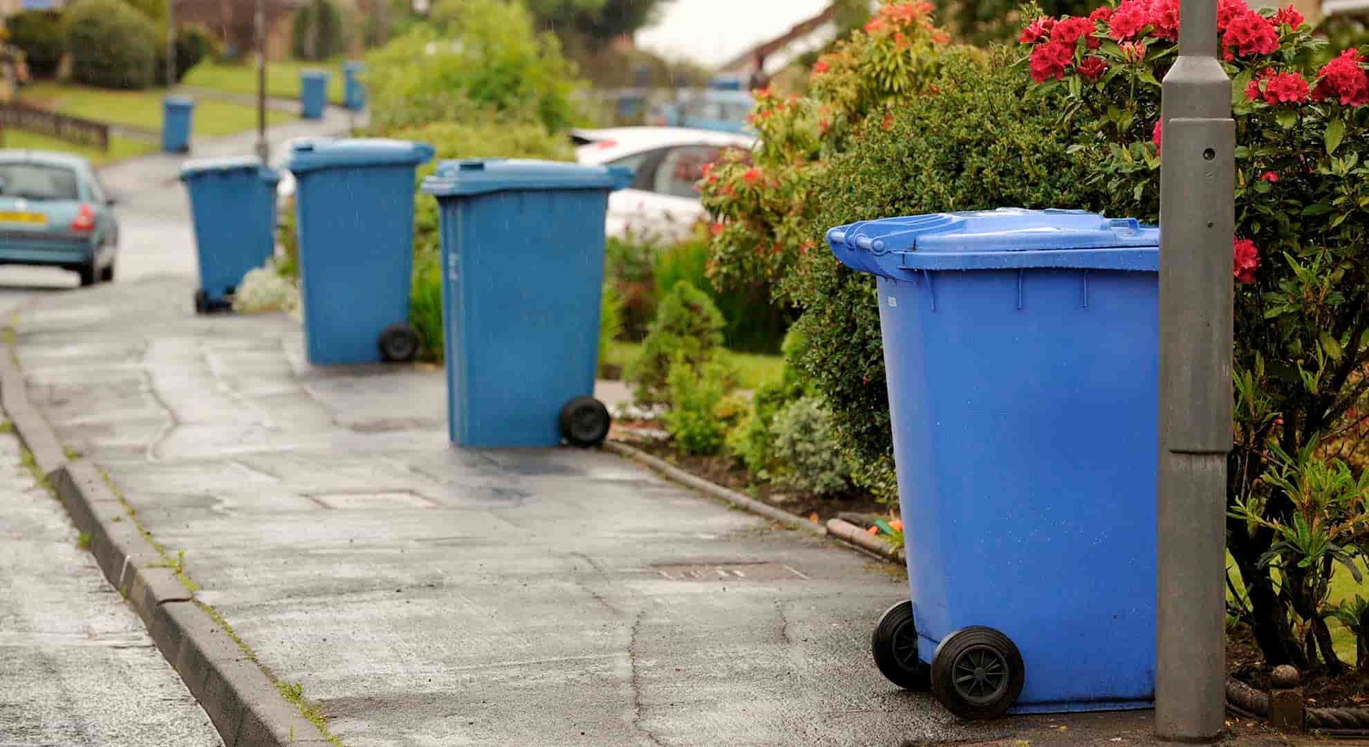 Photo of a row of blue wheelie bins on the pavement in a residential street ready for collection 