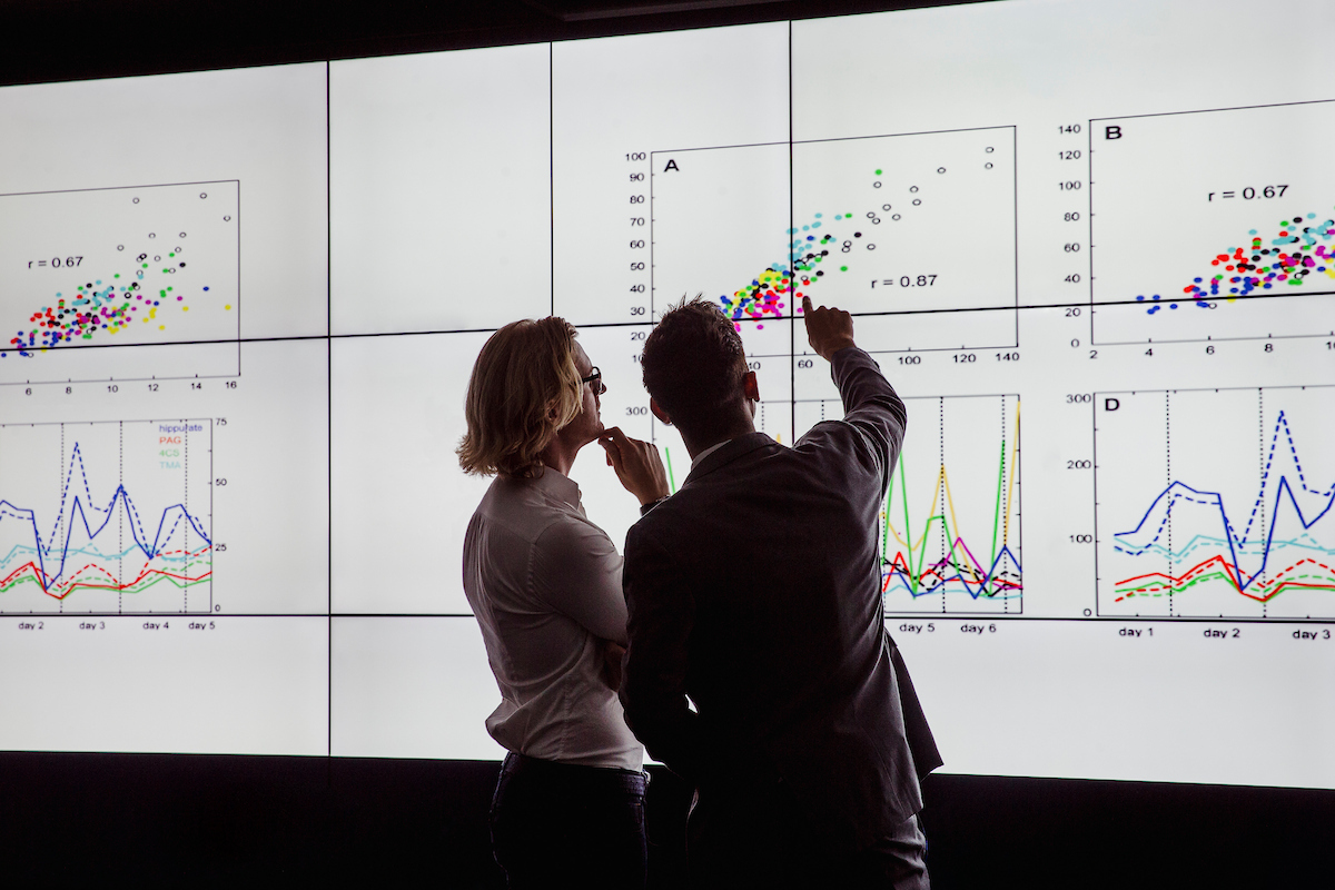 Two people analysing a graph on a large screen