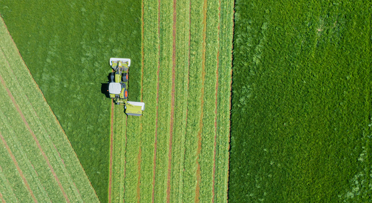 A farmers field viewed from above, with a farmer cutting crops in rows