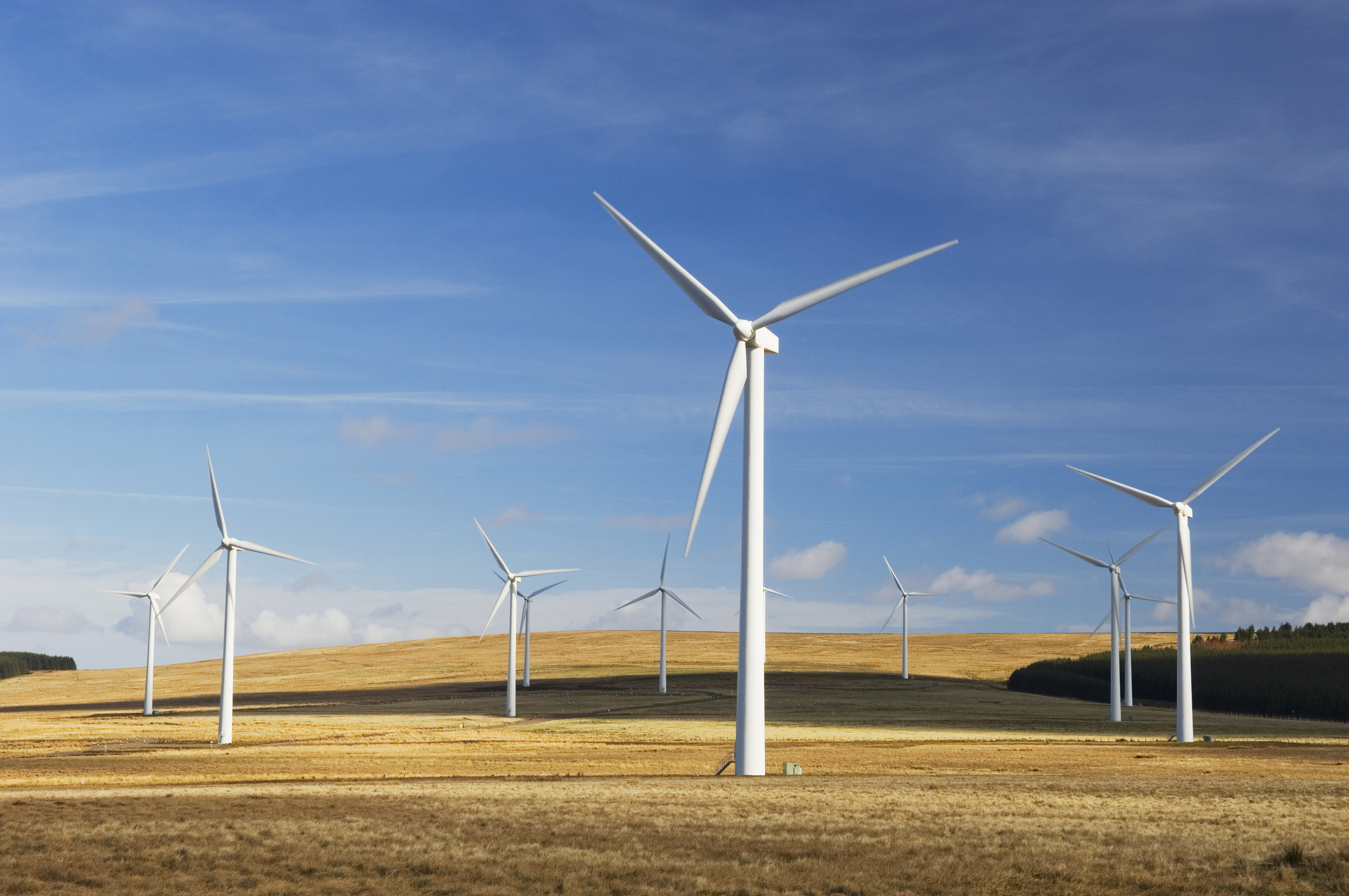 Wind turbines across open countryside under a blue sky.